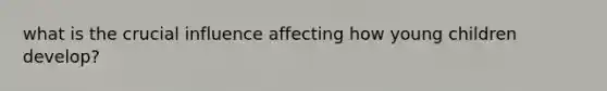 what is the crucial influence affecting how young children develop?