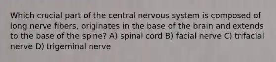 Which crucial part of the central nervous system is composed of long nerve fibers, originates in the base of the brain and extends to the base of the spine? A) spinal cord B) facial nerve C) trifacial nerve D) trigeminal nerve