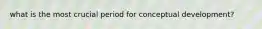 what is the most crucial period for conceptual development?