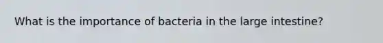 What is the importance of bacteria in the <a href='https://www.questionai.com/knowledge/kGQjby07OK-large-intestine' class='anchor-knowledge'>large intestine</a>?