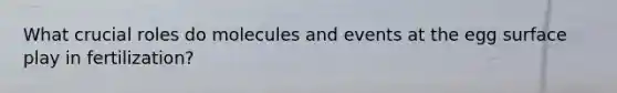 What crucial roles do molecules and events at the egg surface play in fertilization?