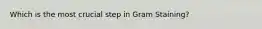 Which is the most crucial step in Gram Staining?