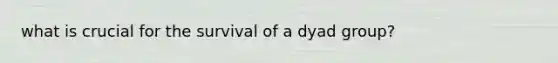 what is crucial for the survival of a dyad group?