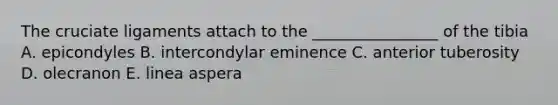 The cruciate ligaments attach to the ________________ of the tibia A. epicondyles B. intercondylar eminence C. anterior tuberosity D. olecranon E. linea aspera