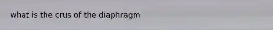 what is the crus of the diaphragm