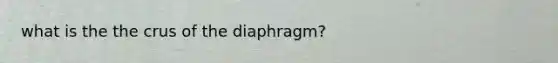 what is the the crus of the diaphragm?