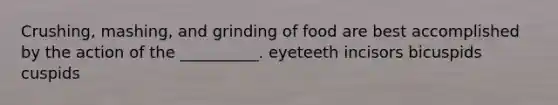 Crushing, mashing, and grinding of food are best accomplished by the action of the __________. eyeteeth incisors bicuspids cuspids