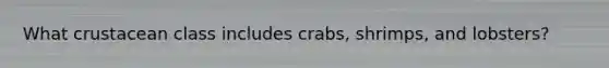 What crustacean class includes crabs, shrimps, and lobsters?