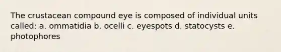 The crustacean compound eye is composed of individual units called: a. ommatidia b. ocelli c. eyespots d. statocysts e. photophores