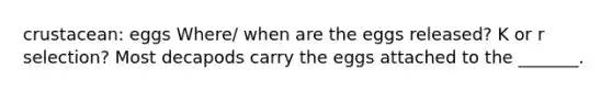 crustacean: eggs Where/ when are the eggs released? K or r selection? Most decapods carry the eggs attached to the _______.