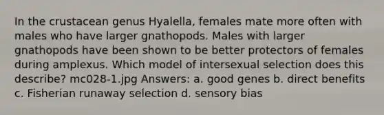 In the crustacean genus Hyalella, females mate more often with males who have larger gnathopods. Males with larger gnathopods have been shown to be better protectors of females during amplexus. Which model of intersexual selection does this describe? mc028-1.jpg Answers: a. good genes b. direct benefits c. Fisherian runaway selection d. sensory bias