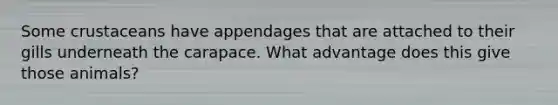 Some crustaceans have appendages that are attached to their gills underneath the carapace. What advantage does this give those animals?