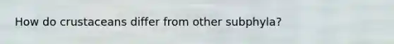 How do crustaceans differ from other subphyla?