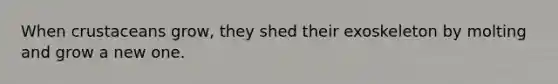 When crustaceans grow, they shed their exoskeleton by molting and grow a new one.