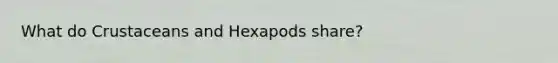 What do Crustaceans and Hexapods share?