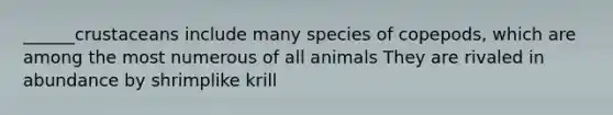 ______crustaceans include many species of copepods, which are among the most numerous of all animals They are rivaled in abundance by shrimplike krill