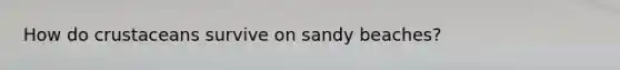 How do crustaceans survive on sandy beaches?