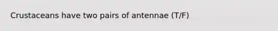 Crustaceans have two pairs of antennae (T/F)