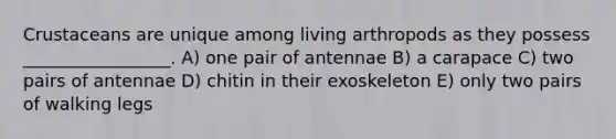 Crustaceans are unique among living arthropods as they possess _________________. A) one pair of antennae B) a carapace C) two pairs of antennae D) chitin in their exoskeleton E) only two pairs of walking legs