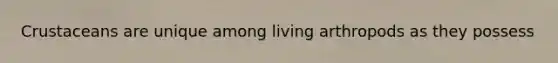Crustaceans are unique among living arthropods as they possess