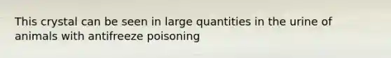 This crystal can be seen in large quantities in the urine of animals with antifreeze poisoning