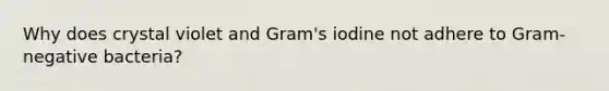 Why does crystal violet and Gram's iodine not adhere to Gram-negative bacteria?