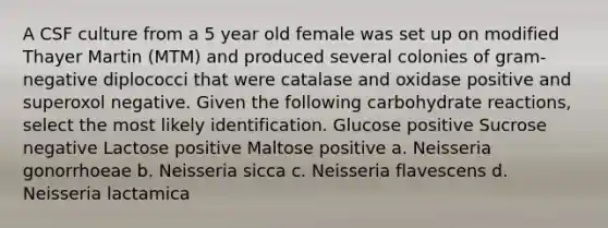 A CSF culture from a 5 year old female was set up on modified Thayer Martin (MTM) and produced several colonies of gram-negative diplococci that were catalase and oxidase positive and superoxol negative. Given the following carbohydrate reactions, select the most likely identification. Glucose positive Sucrose negative Lactose positive Maltose positive a. Neisseria gonorrhoeae b. Neisseria sicca c. Neisseria flavescens d. Neisseria lactamica