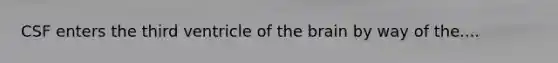 CSF enters the third ventricle of the brain by way of the....