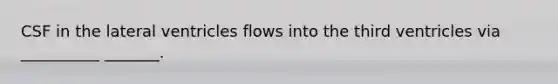 CSF in the lateral ventricles flows into the third ventricles via __________ _______.