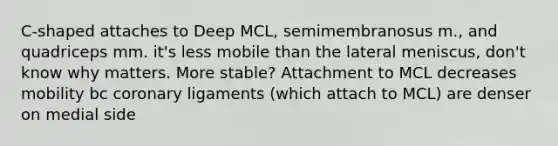 C-shaped attaches to Deep MCL, semimembranosus m., and quadriceps mm. it's less mobile than the lateral meniscus, don't know why matters. More stable? Attachment to MCL decreases mobility bc coronary ligaments (which attach to MCL) are denser on medial side