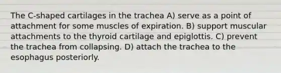 The C-shaped cartilages in the trachea A) serve as a point of attachment for some muscles of expiration. B) support muscular attachments to the thyroid cartilage and epiglottis. C) prevent the trachea from collapsing. D) attach the trachea to the esophagus posteriorly.