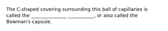 The C-shaped covering surrounding this ball of capillaries is called the _______________ ___________, or also called the Bowman's capsule.
