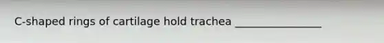 C-shaped rings of cartilage hold trachea ________________