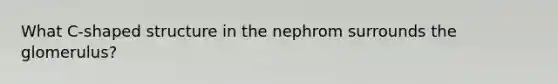 What C-shaped structure in the nephrom surrounds the glomerulus?