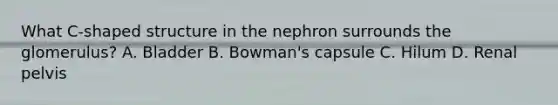 What C-shaped structure in the nephron surrounds the glomerulus? A. Bladder B. Bowman's capsule C. Hilum D. Renal pelvis