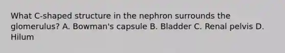 What C-shaped structure in the nephron surrounds the glomerulus? A. Bowman's capsule B. Bladder C. Renal pelvis D. Hilum