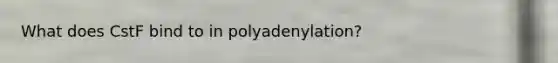 What does CstF bind to in polyadenylation?