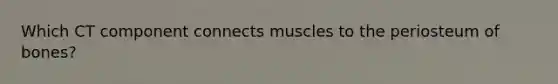 Which CT component connects muscles to the periosteum of bones?