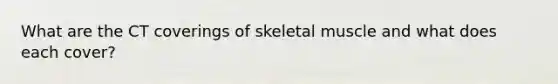 What are the CT coverings of skeletal muscle and what does each cover?