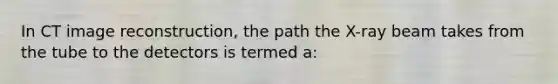 In CT image reconstruction, the path the X-ray beam takes from the tube to the detectors is termed a: