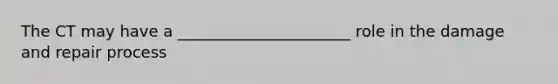 The CT may have a ______________________ role in the damage and repair process