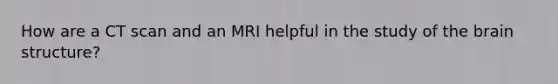 How are a CT scan and an MRI helpful in the study of the brain structure?