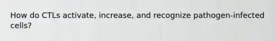 How do CTLs activate, increase, and recognize pathogen-infected cells?