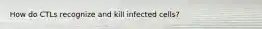 How do CTLs recognize and kill infected cells?