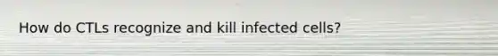 How do CTLs recognize and kill infected cells?