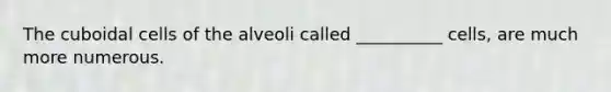 The cuboidal cells of the alveoli called __________ cells, are much more numerous.