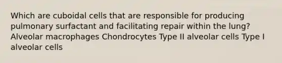 Which are cuboidal cells that are responsible for producing pulmonary surfactant and facilitating repair within the lung? Alveolar macrophages Chondrocytes Type II alveolar cells Type I alveolar cells