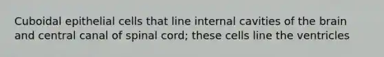 Cuboidal epithelial cells that line internal cavities of the brain and central canal of spinal cord; these cells line the ventricles