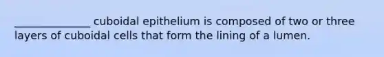 ______________ cuboidal epithelium is composed of two or three layers of cuboidal cells that form the lining of a lumen.