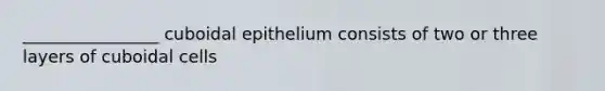 ________________ cuboidal epithelium consists of two or three layers of cuboidal cells